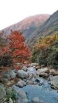 秋日山间溪流红叶美景