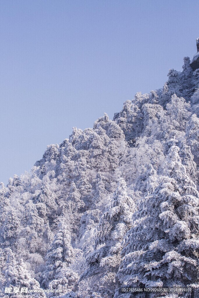 雪覆山林美景