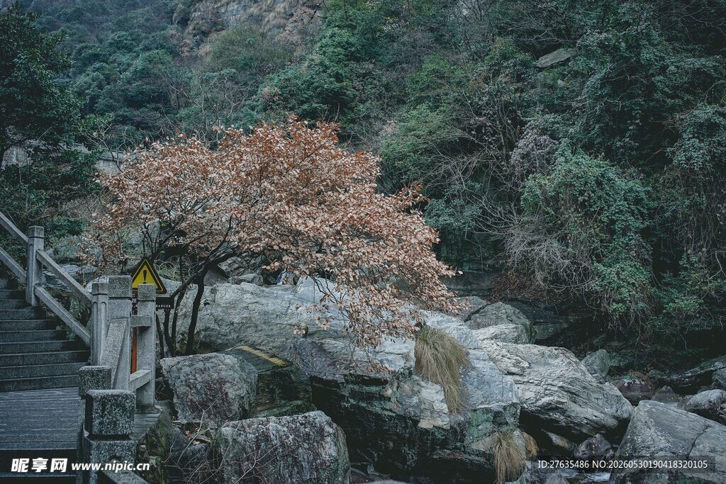 山间秋景中的岩石与步道