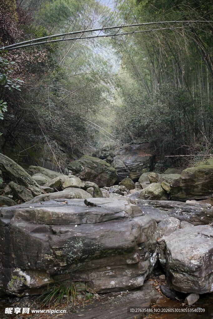 山林间的静谧溪流小道
