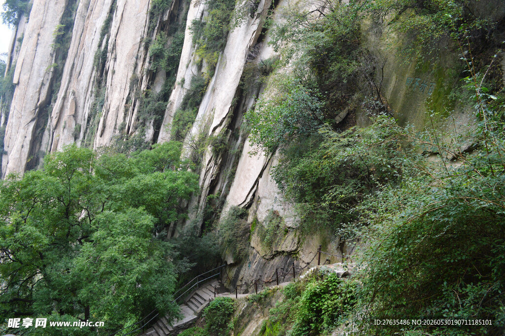 陡峭山崖间的葱郁植被