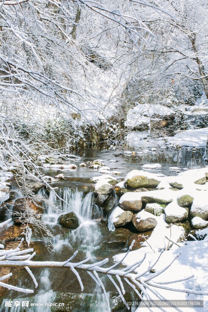 冬日溪边覆雪景致