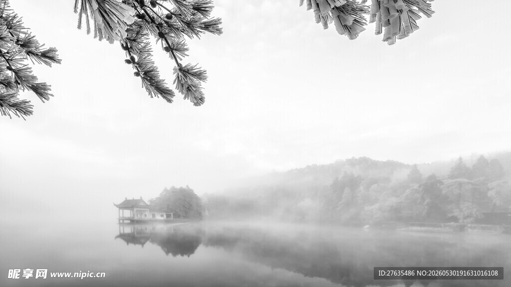 雾中湖畔静谧景致