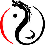 龙形太极图案