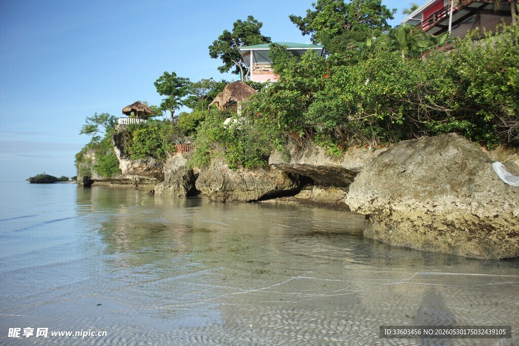 海边岩石绿植风景