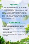 艾草 健康 天然 植物 薄荷