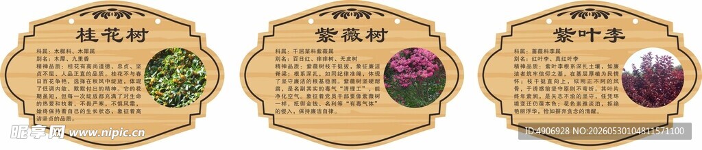 花草牌