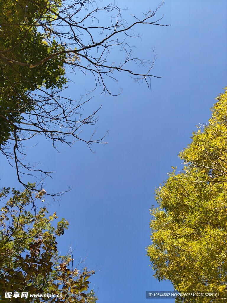 天空