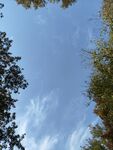 天花天空