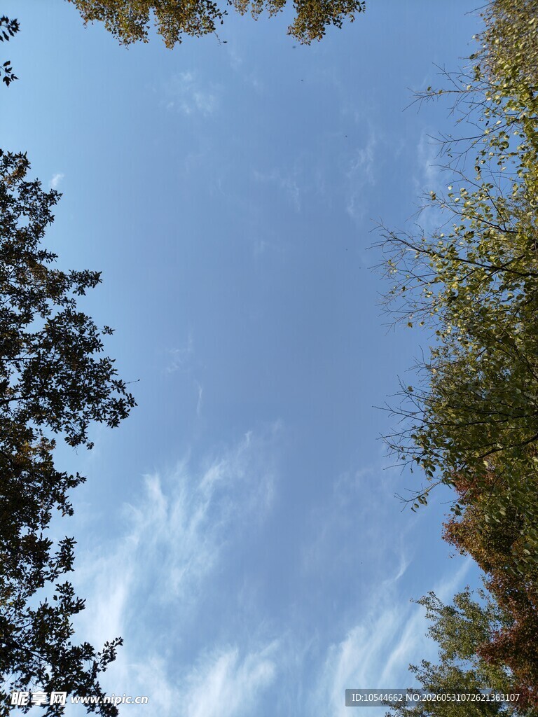 天花天空
