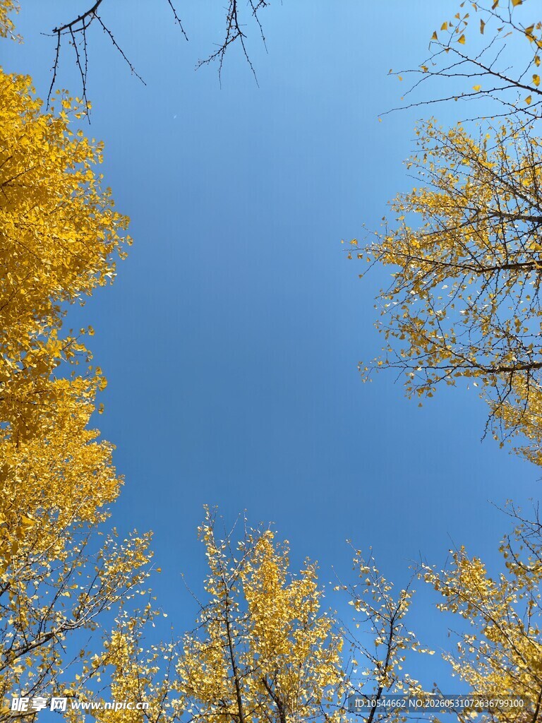 仰视天空