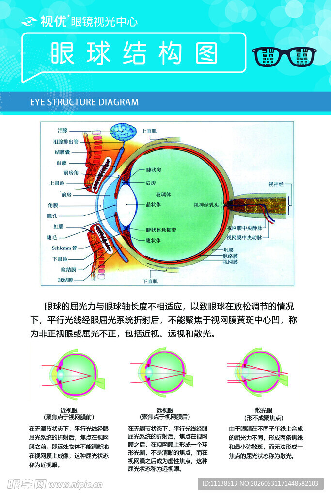 眼球结构解剖示意图