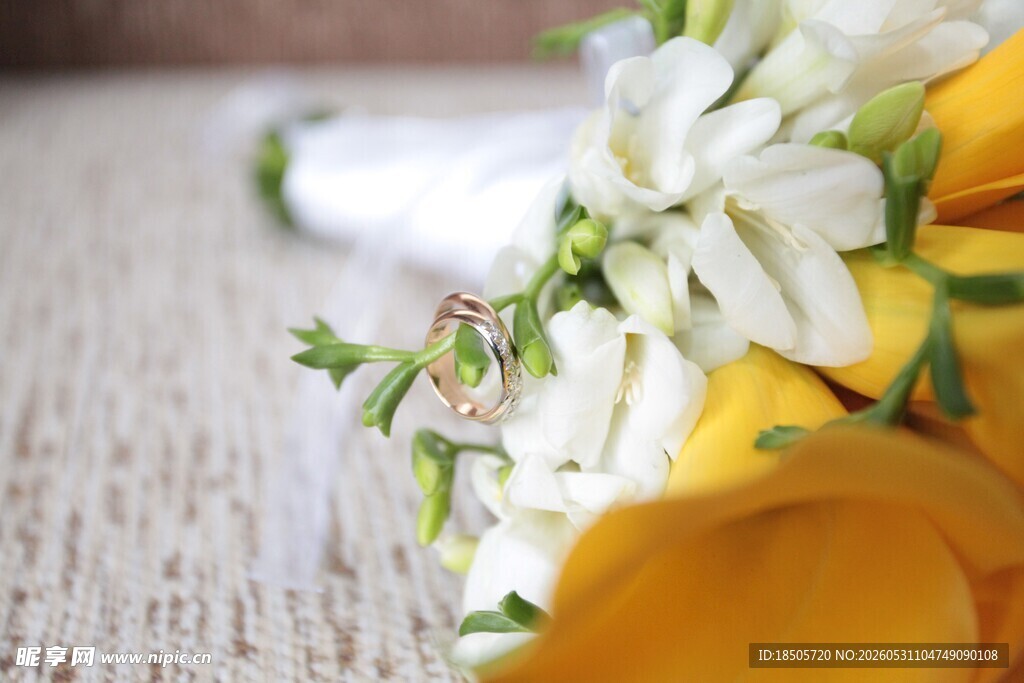 黄白花卉特写