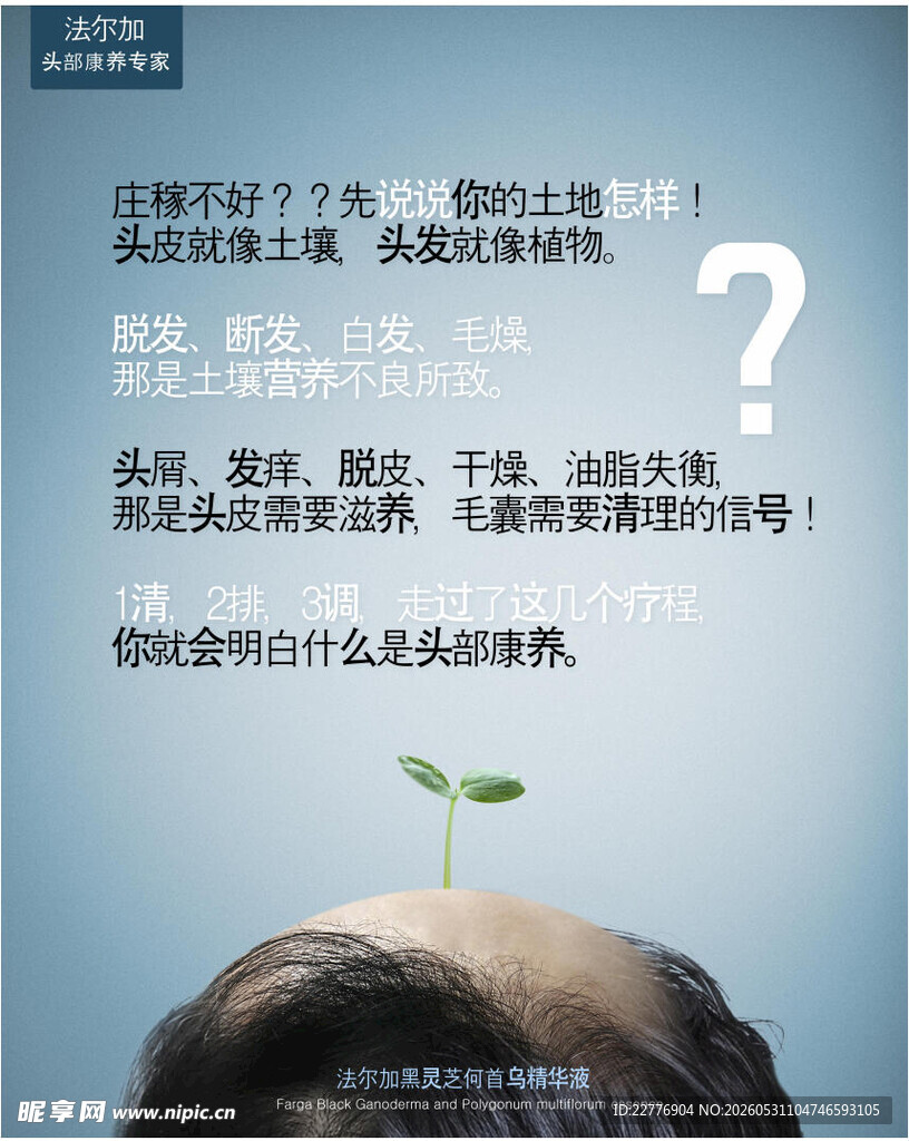 法尔加海报