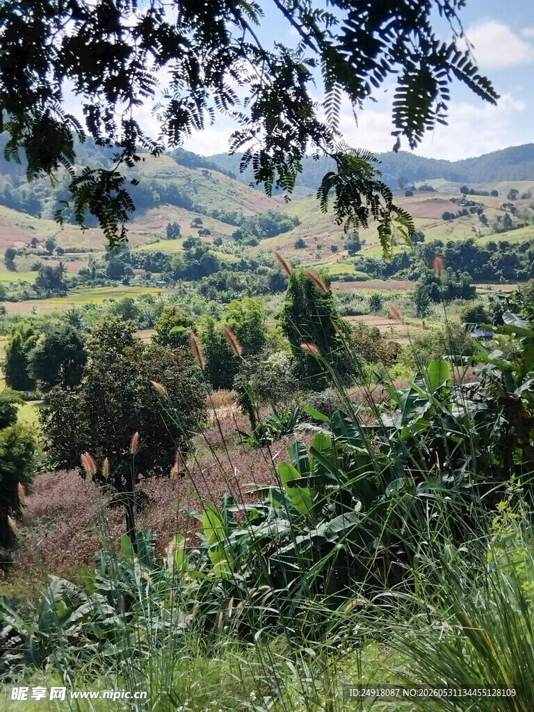 乡村绿意田园景致自然风景风光