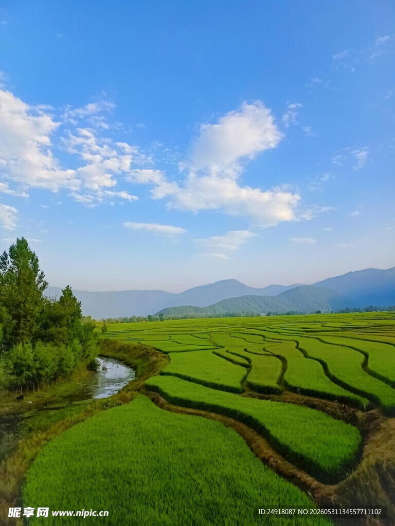 田园梯田美景自然风景风光