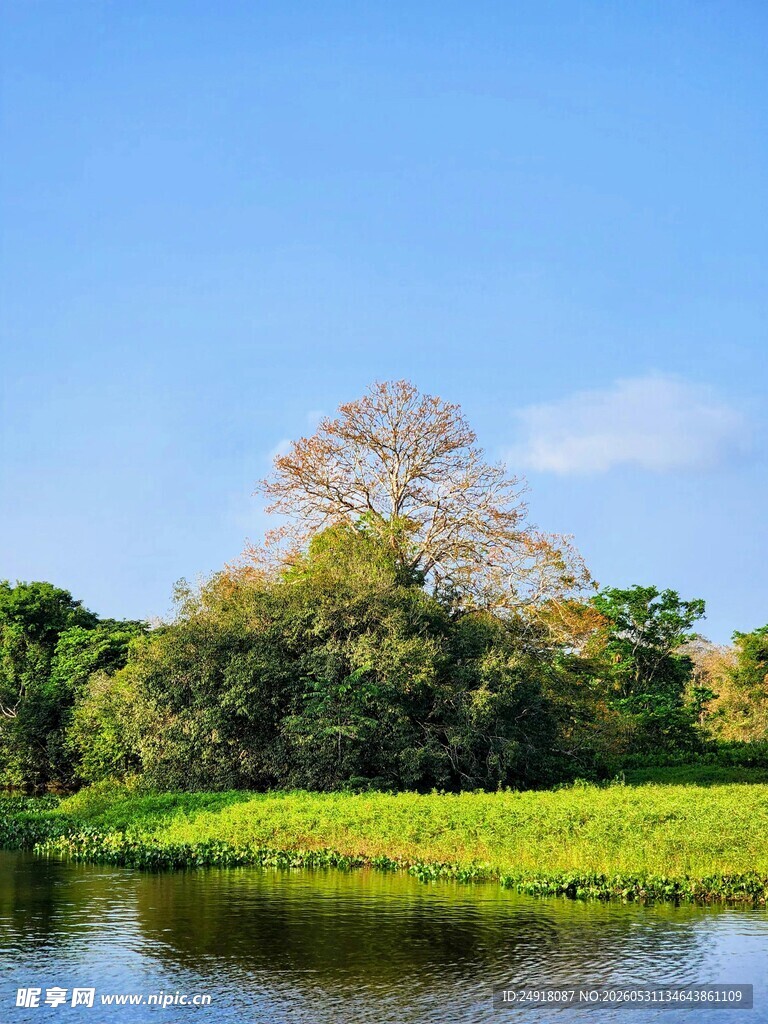 湖畔绿意盎然自然景致风光风景