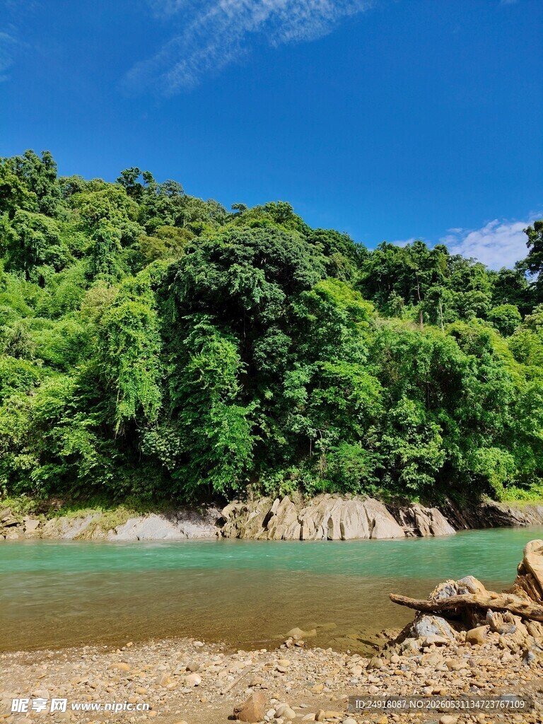 河畔绿意自然景观风光风景