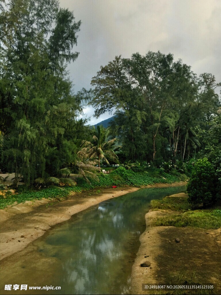 林间小溪自然风光风景