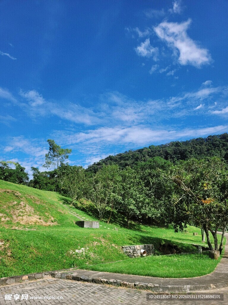 青山绿地美丽景致自然风景风光