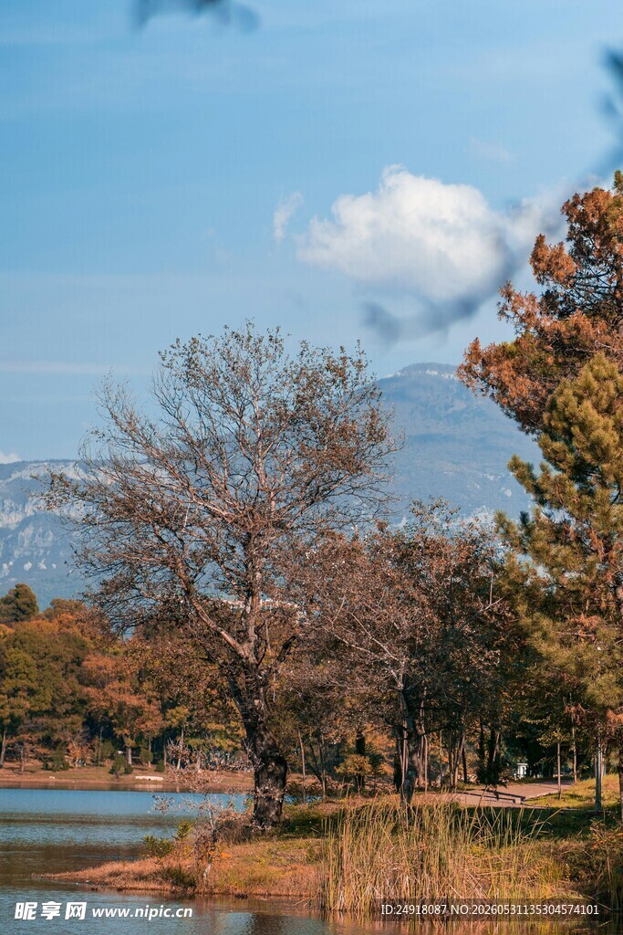 湖畔秋景自然风光风景