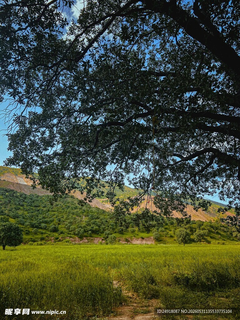 绿野间自然风光风景