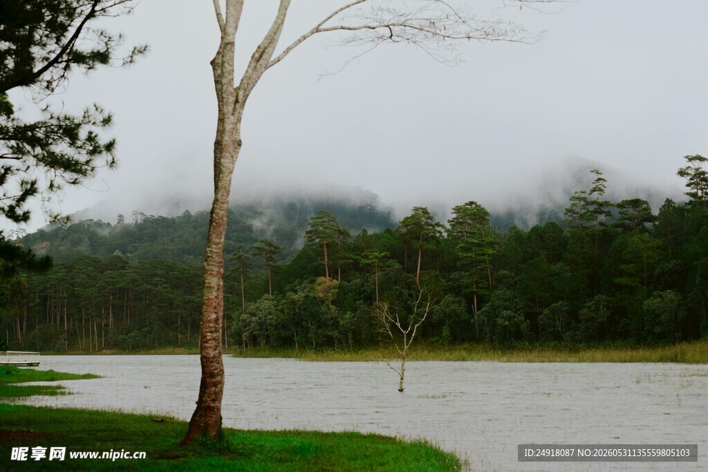 雾中湖畔自然风光风景