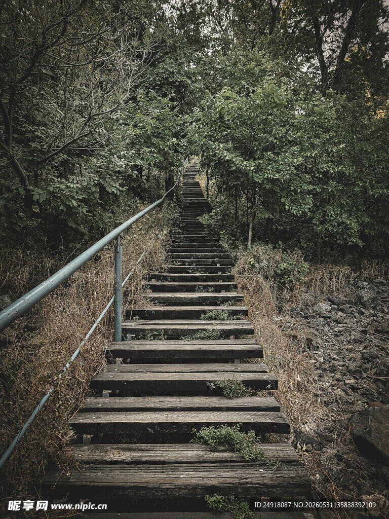 林间木质阶梯自然风景风光