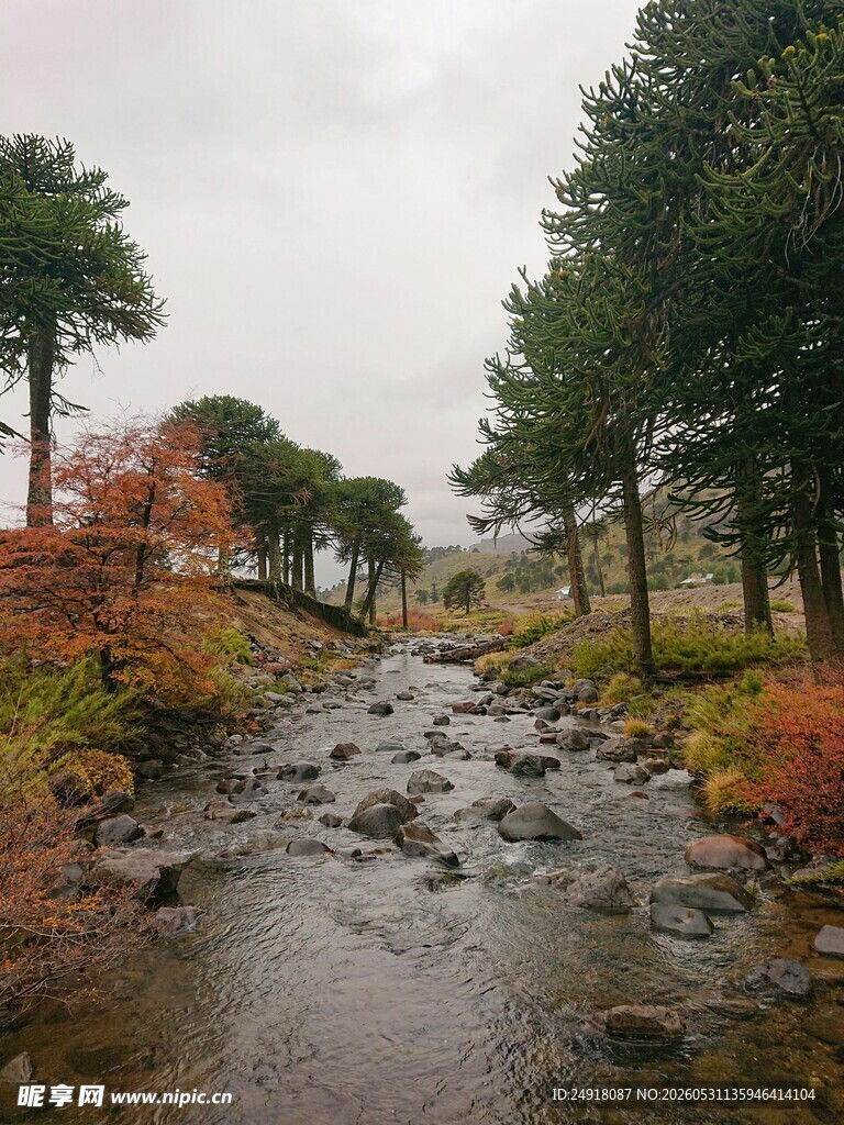 山间溪流景致自然风光风景