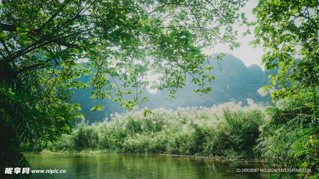 湖畔绿树成荫自然风景风光