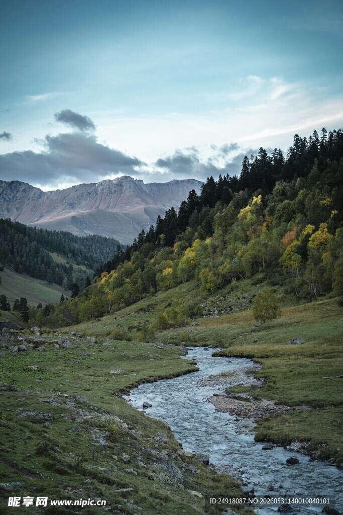 山间溪流旁景致自然风景风光