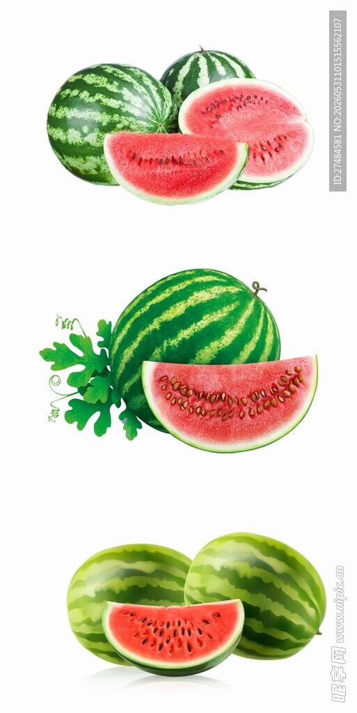 多样西瓜插画