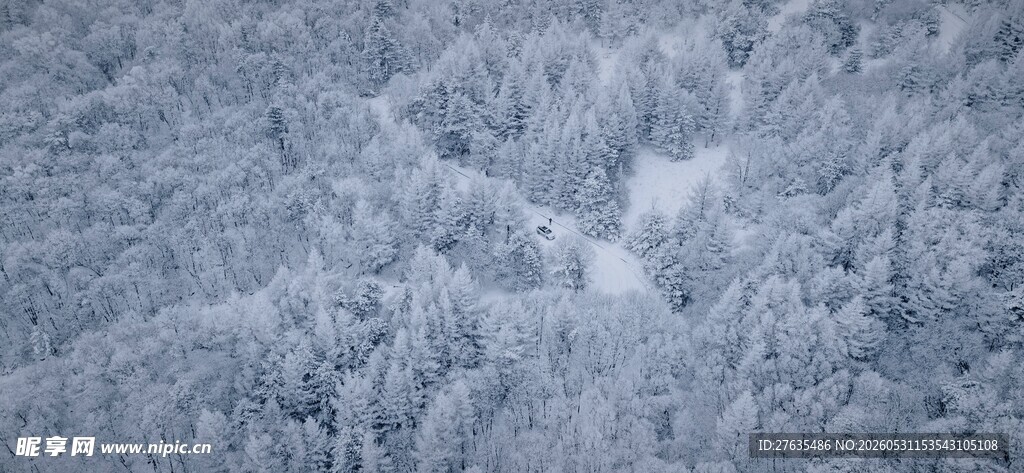 俯瞰银白森林雪景