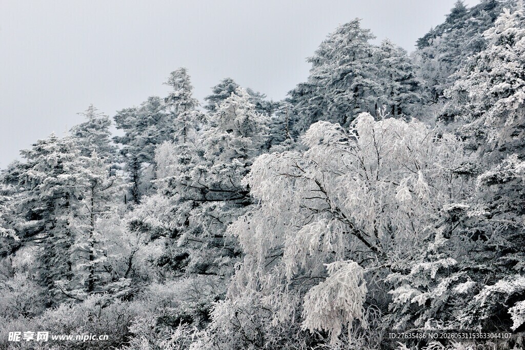 雪覆山林美景