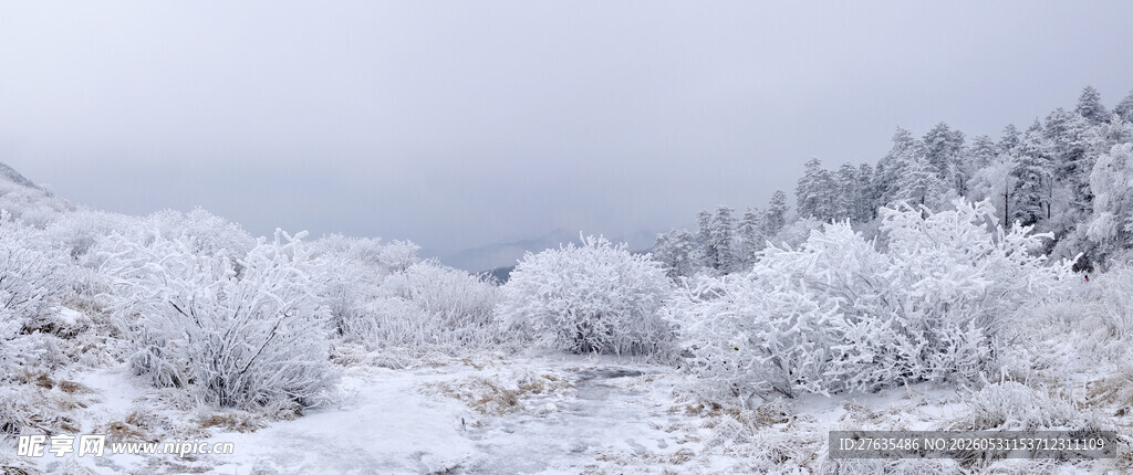 雪覆山林美景