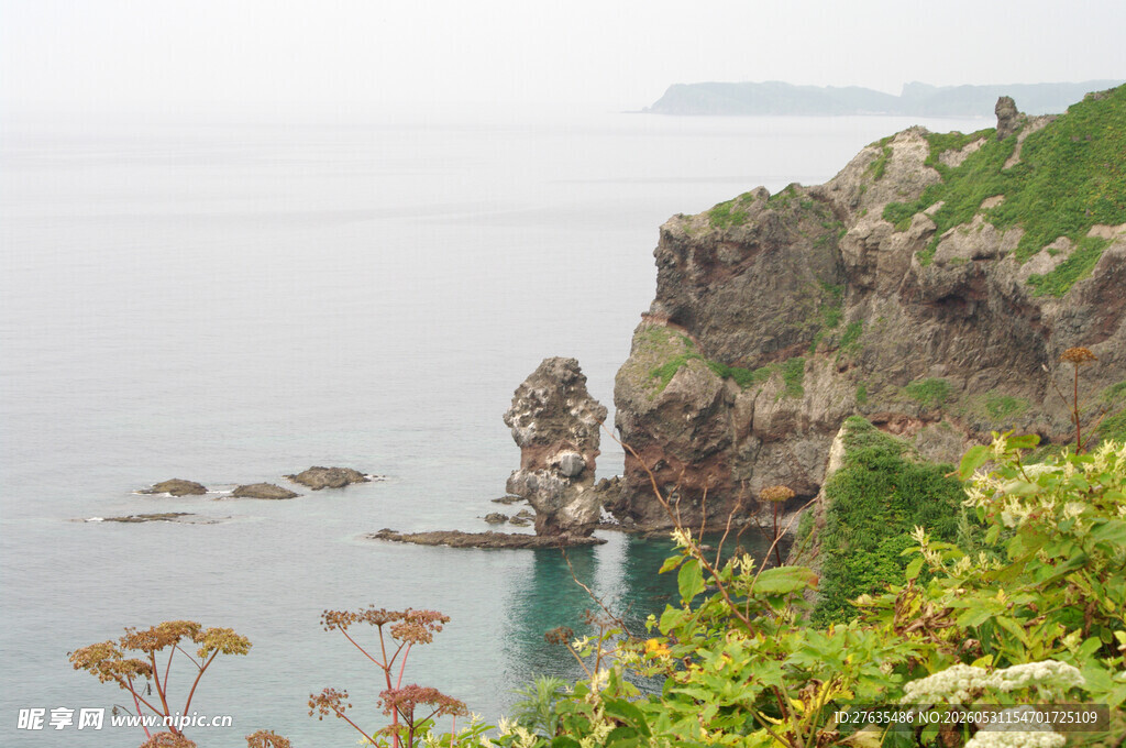 海岸边的嶙峋礁石与绿植