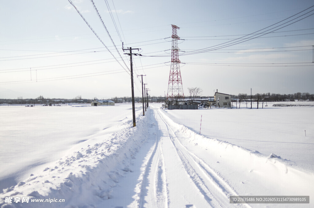 冬日雪覆田野与输电线路