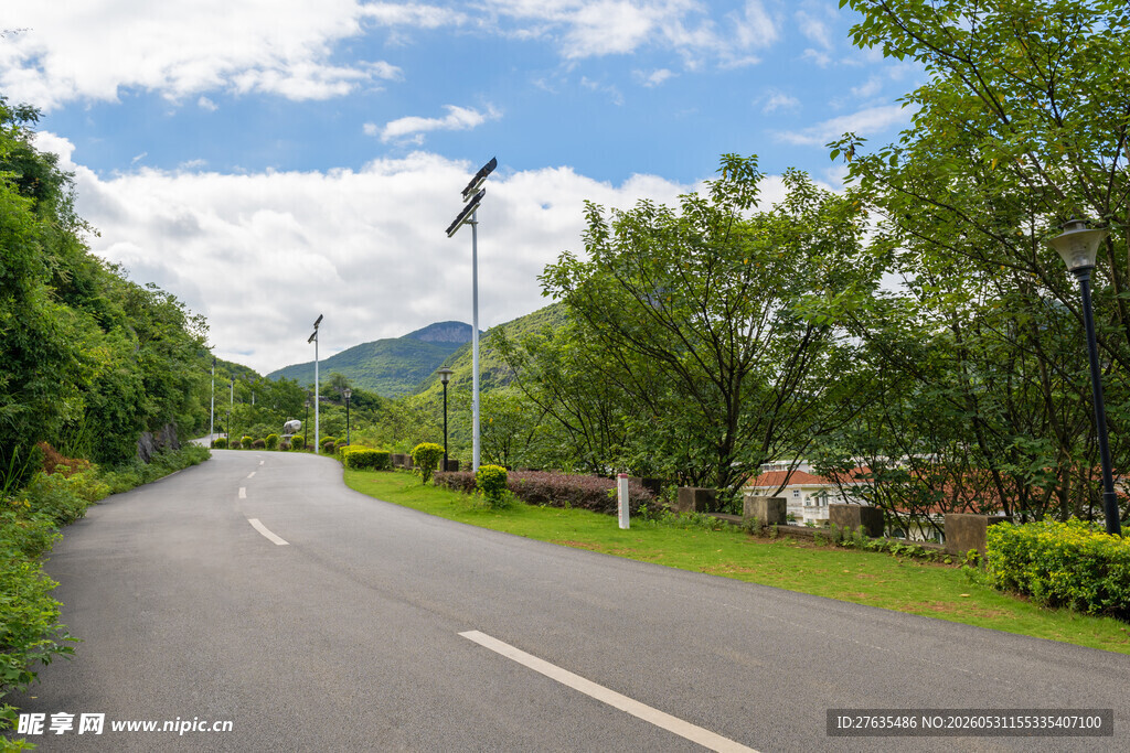 乡村林荫路清新自然景