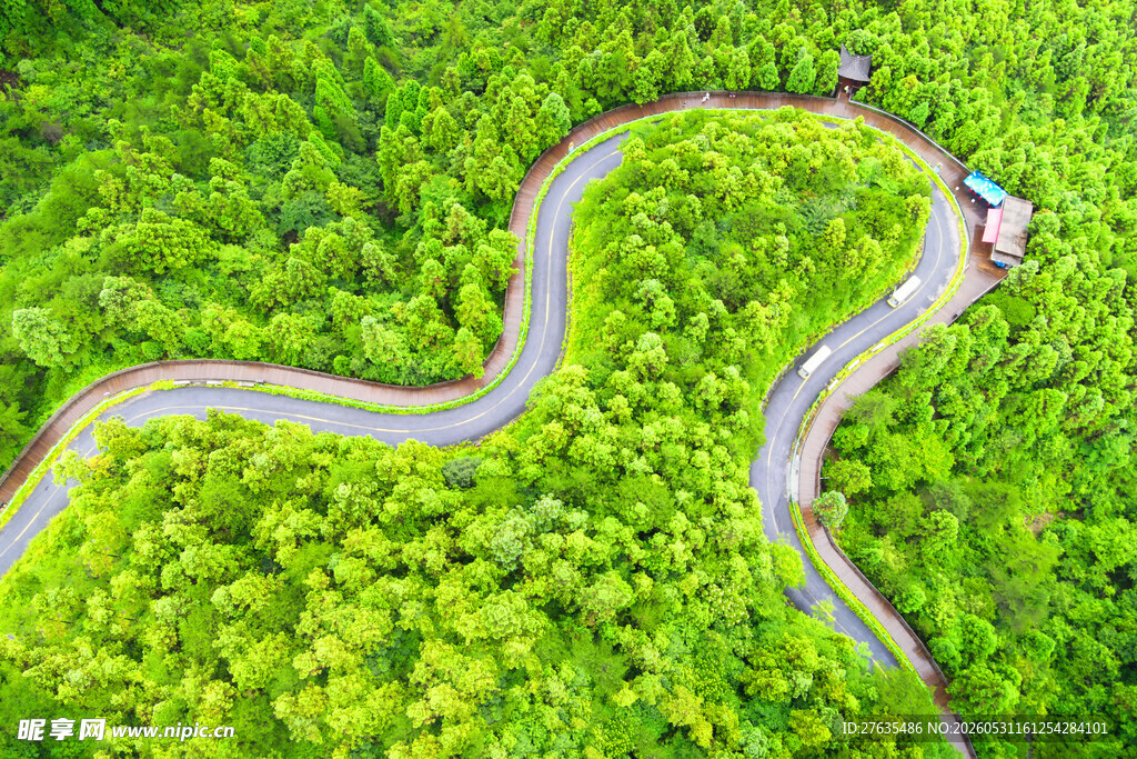 蜿蜒绿林公路