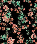 花卉