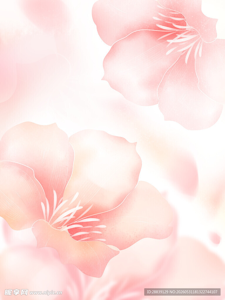 浪漫粉色樱花唯美画面