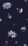 花卉