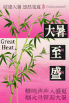 大暑至盛绿意盎然节气海报