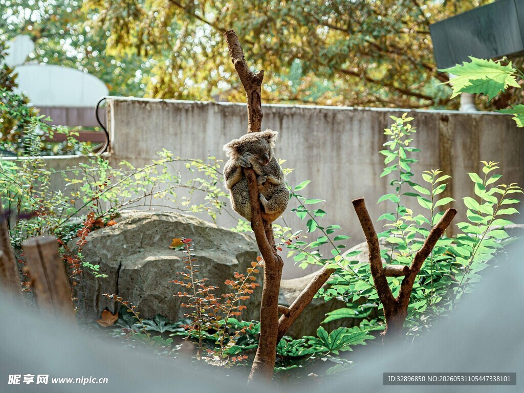 庭院中的自然景观一角