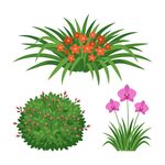 绿植花卉素材