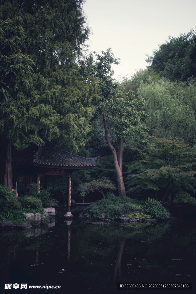 静谧湖畔林间的雅致小亭