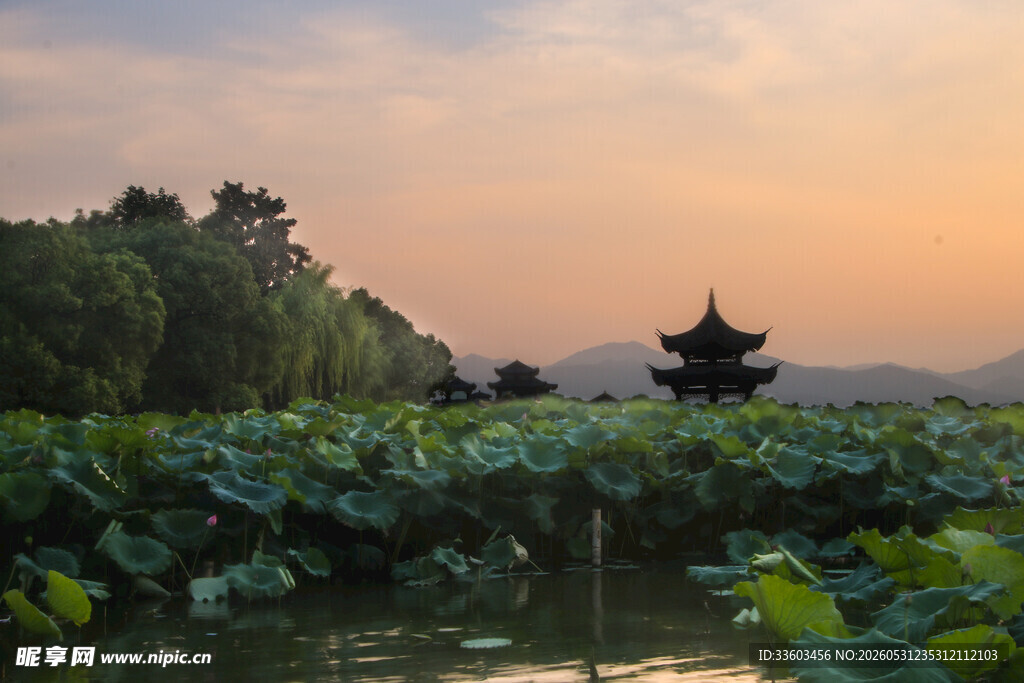 荷塘夕照中的古韵小亭