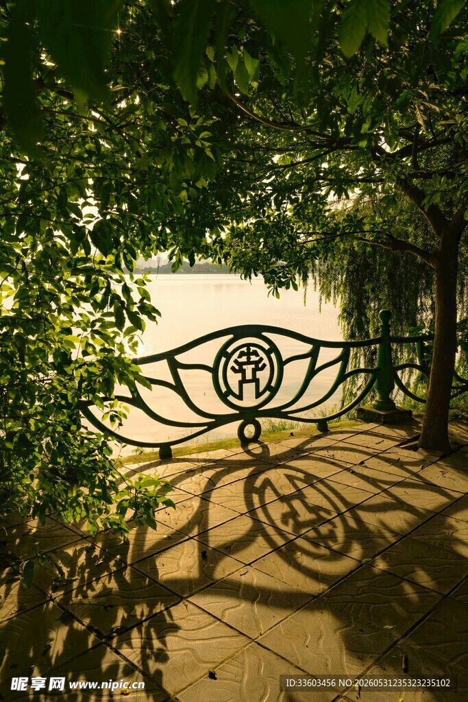 花园铁艺门与斑驳光影