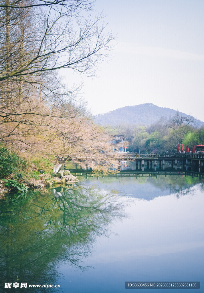 宁静河畔风光