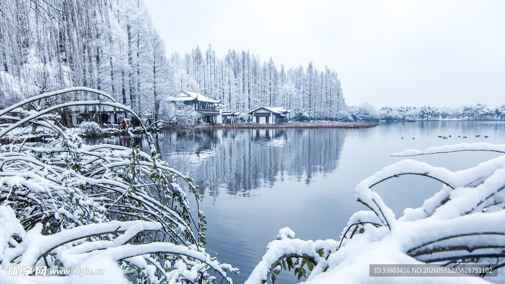 冬日雪景河畔静谧风光